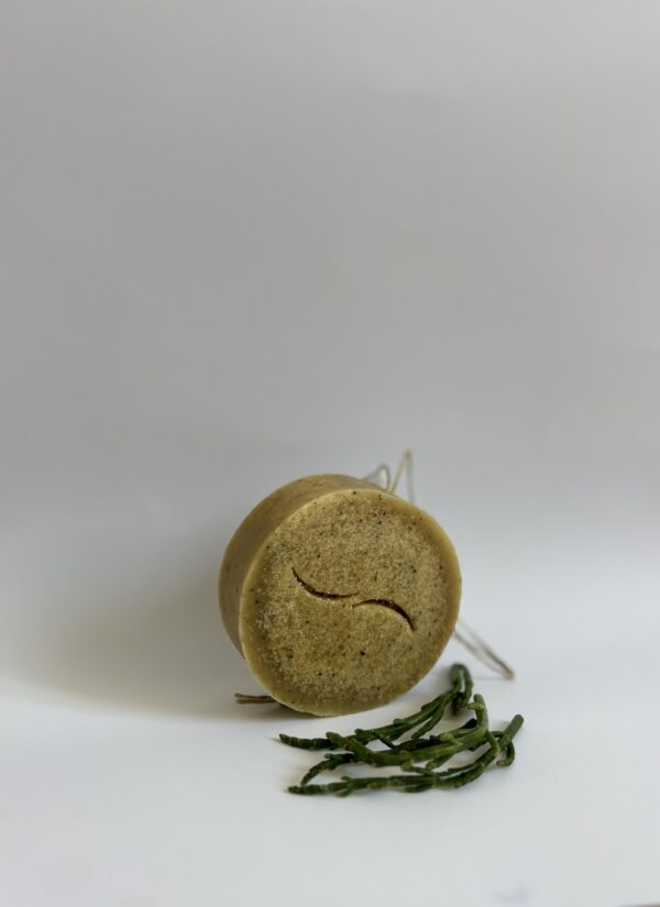 Savon naturel au lait de brebis et à la salicorne